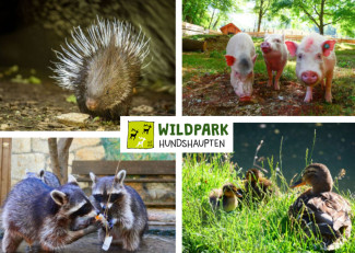 Tierbilder mit Logo des Wildparks