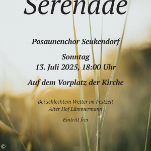 Serenadenplakat
